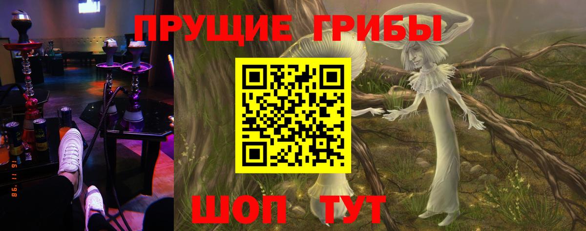 купить  цена  Псилоцибиновые грибы ЛСД  Вход с VPN  Лесной 