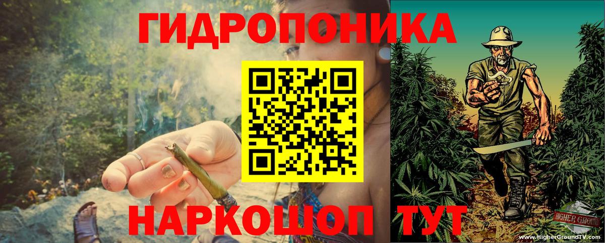 Бошки марихуана план Лесной